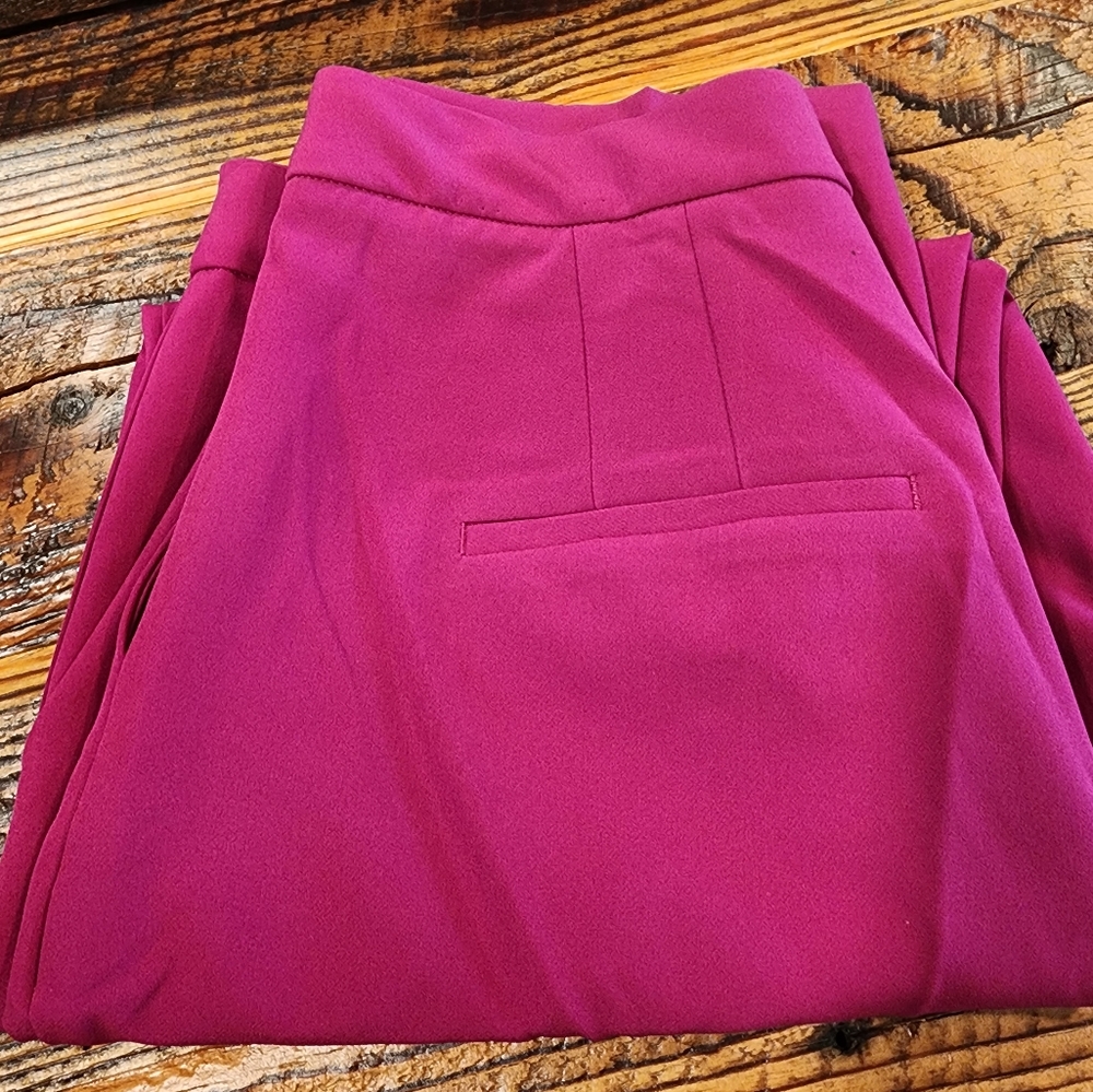 Express editor ankle pant NEW